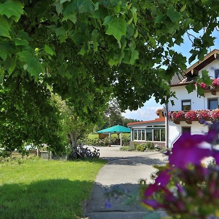 Landgasthof Zum Saegwirt Эгштетт Экстерьер фото